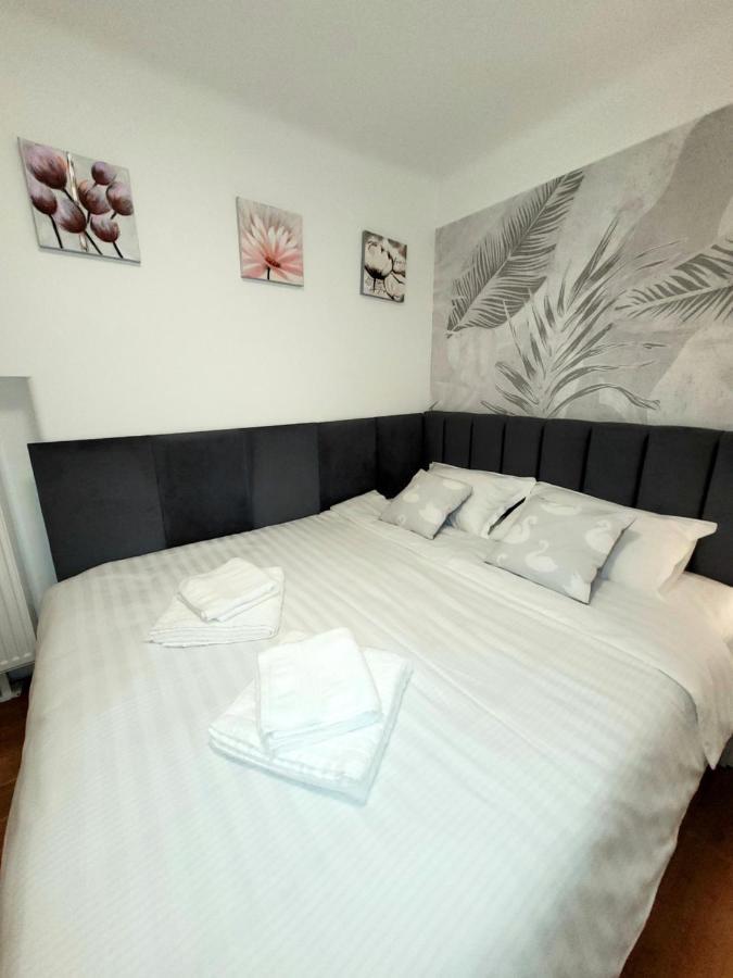 Pacha Residence Timișoara Zewnętrze zdjęcie