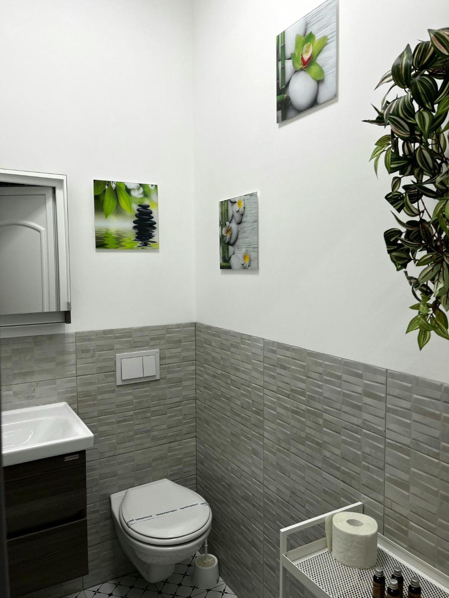 Pacha Residence Timișoara Zewnętrze zdjęcie